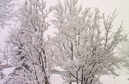 Verschneit-Winter-Sarntal.jpg
